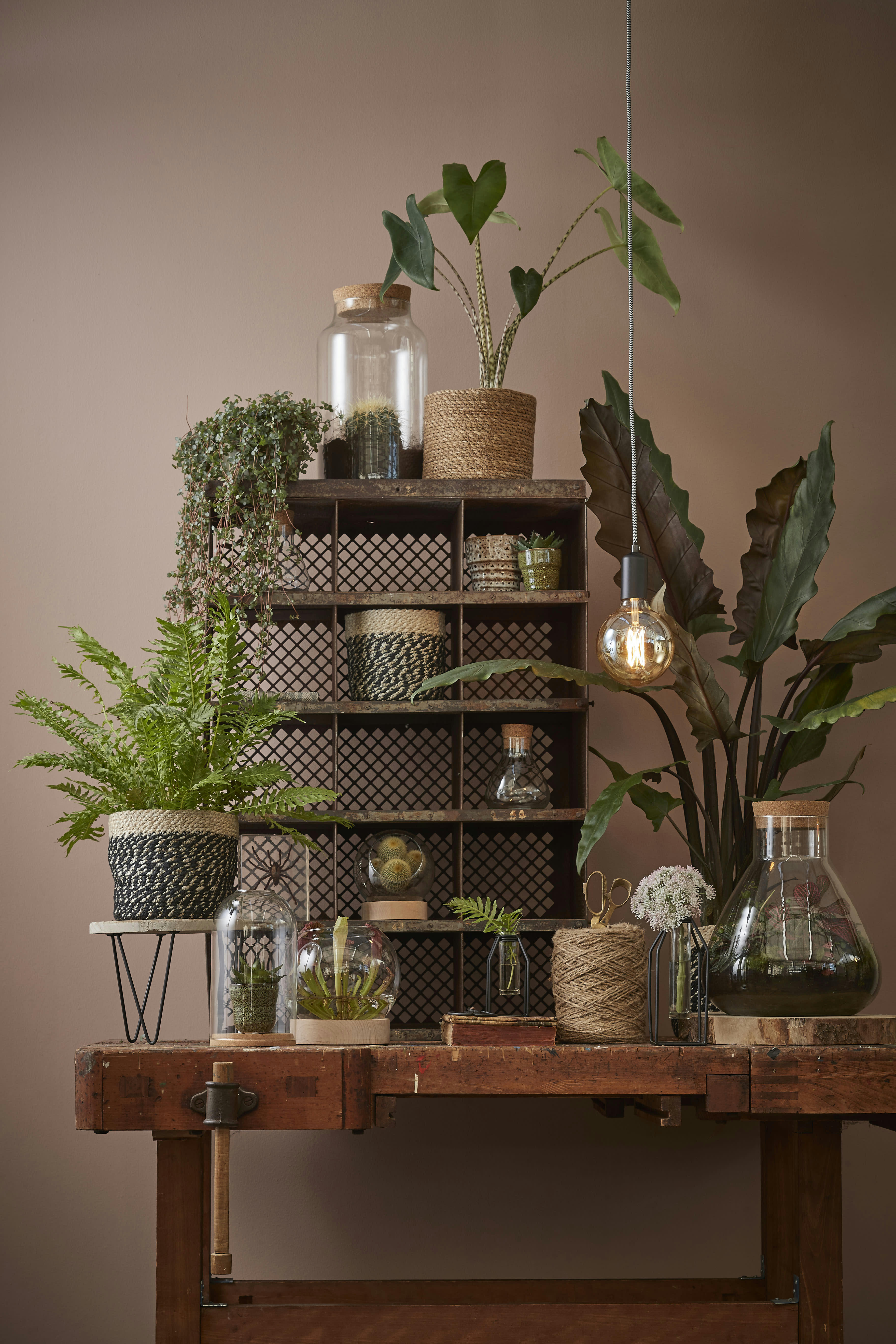 ATLANTIC - Cache-pot en jonc de mer marron clair D20