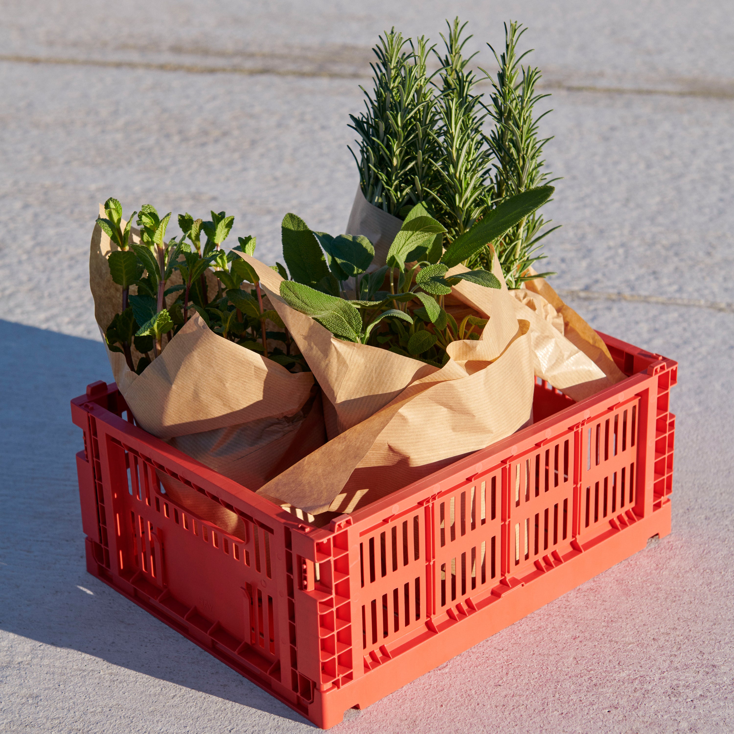 HAY Colour Crates Krat M - Rechthoekig - Rood