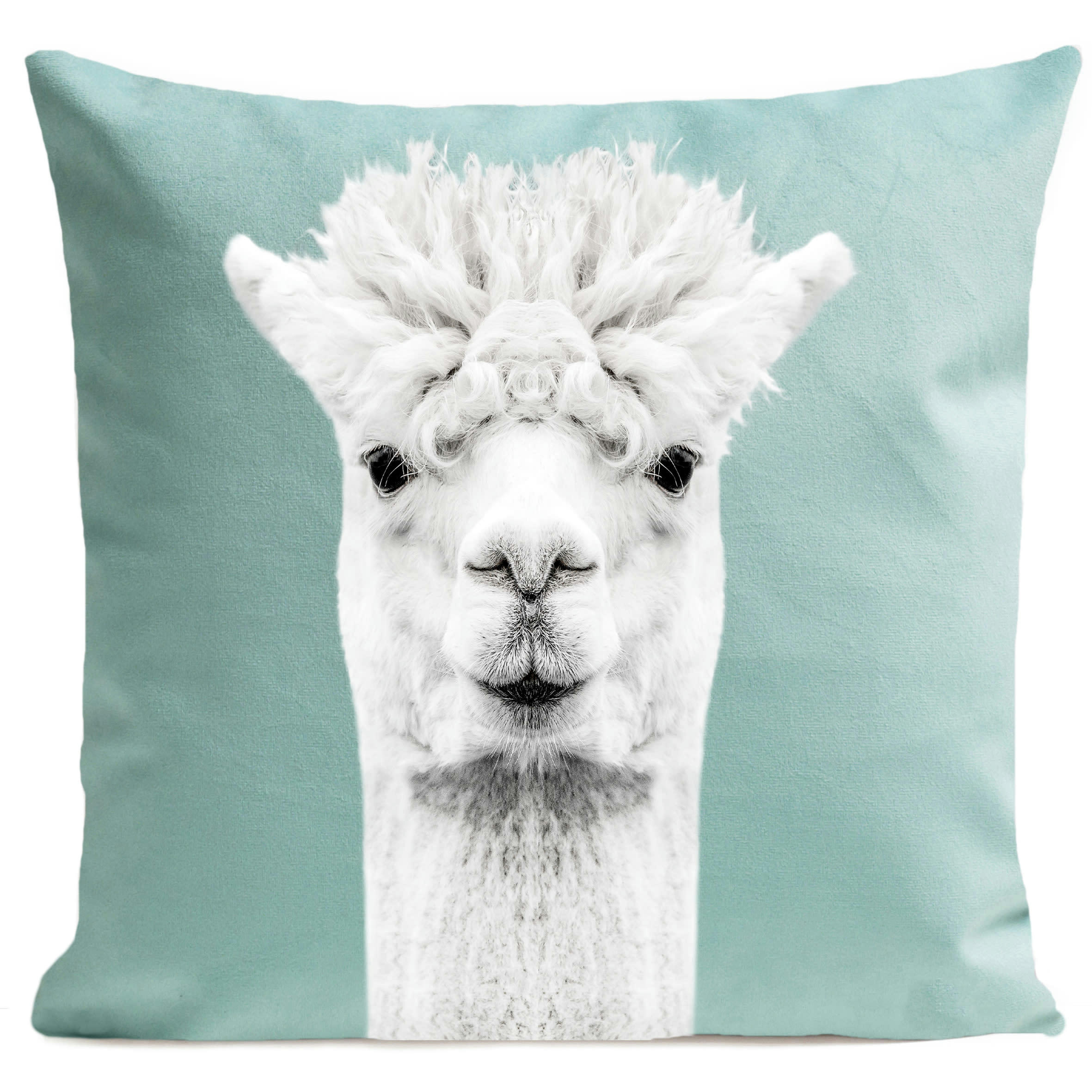 - Coussin animal lama suédine bleu 40x40cm
