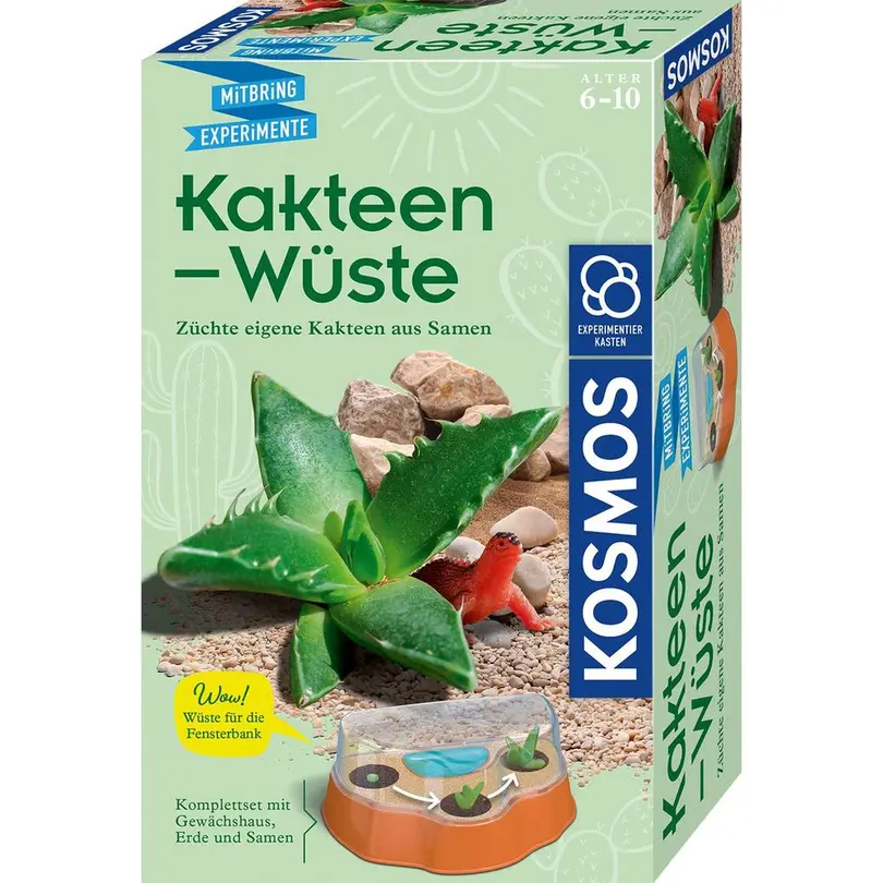 Bausatz Kakteen-Wüste