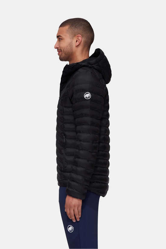Mammut Albula In Hooded Isolatiejas
