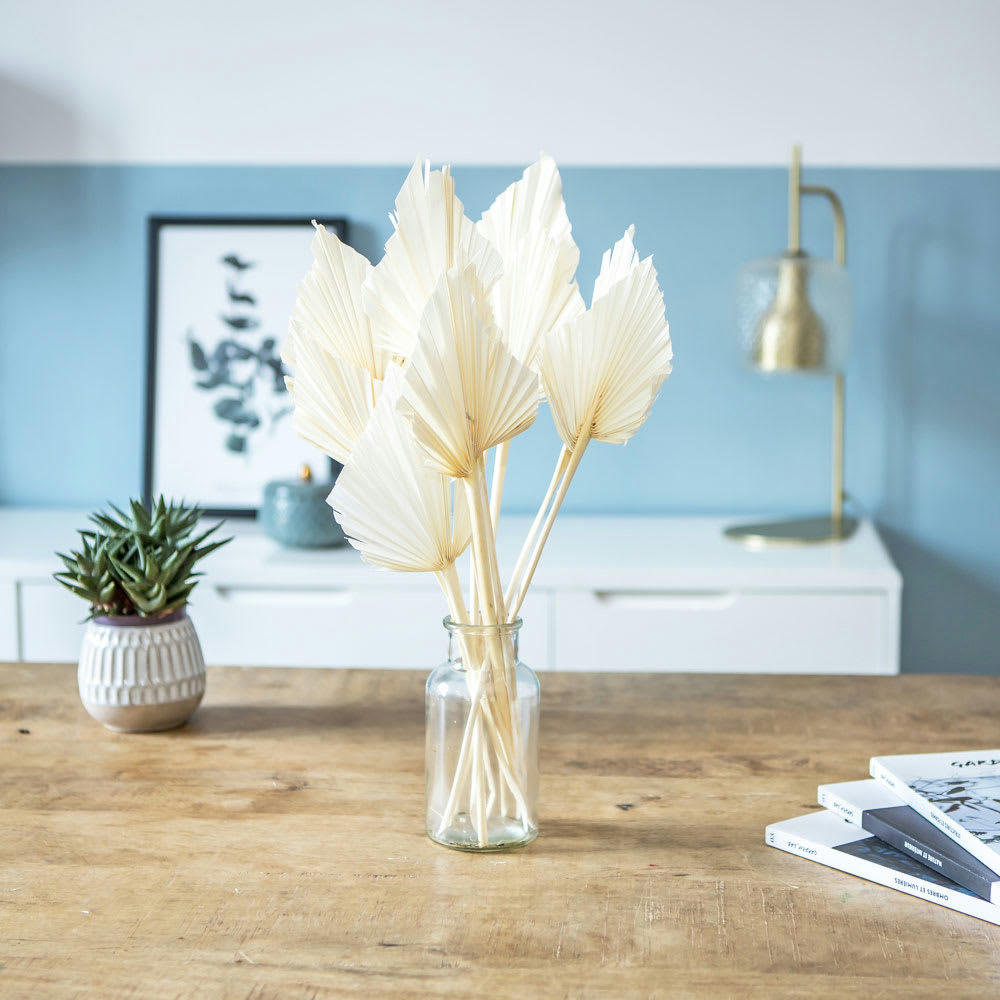 PALMES - Botte de fleurs séchées palmes blanches x10