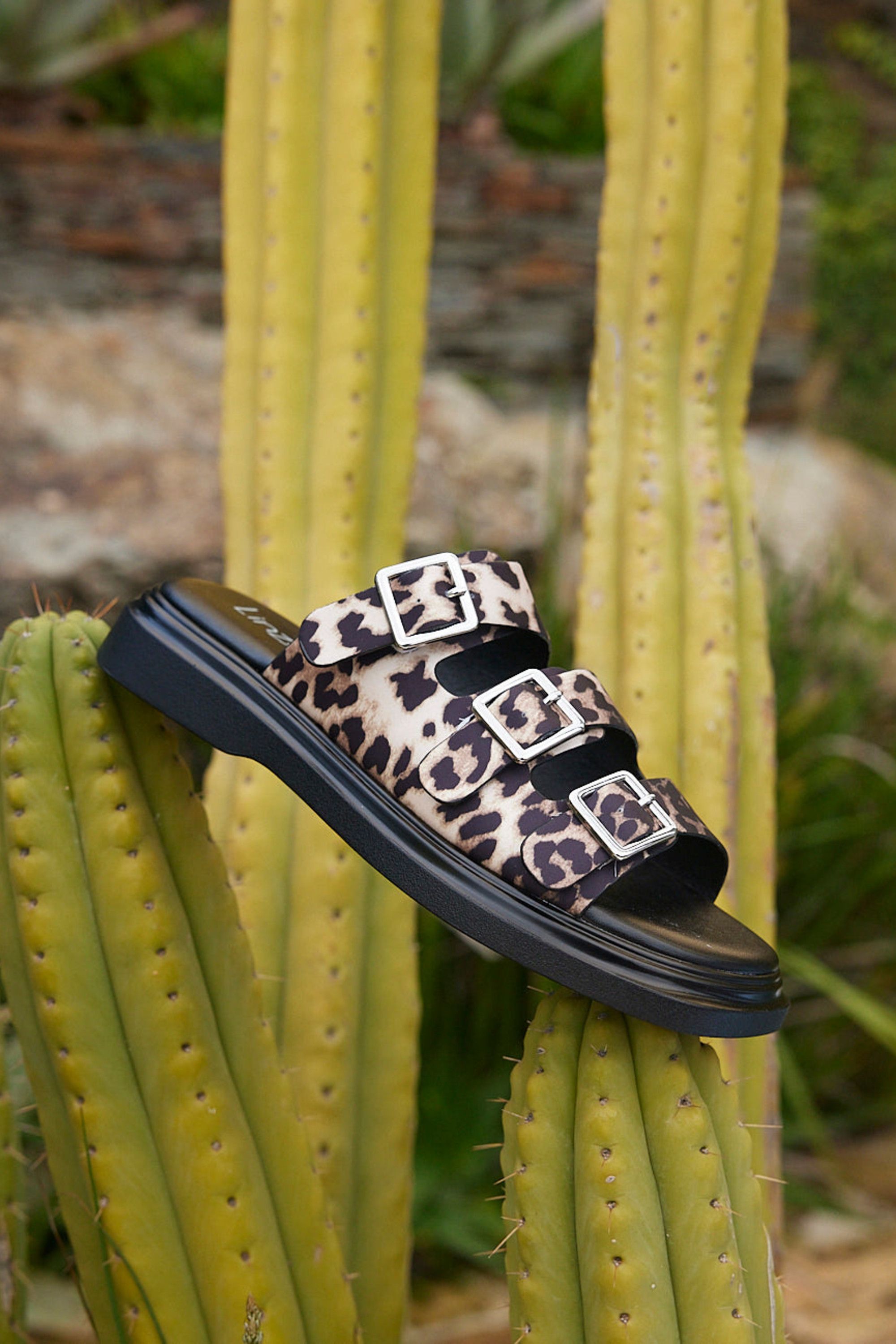Linzi Satellite Leopard Print Flat Sandals
