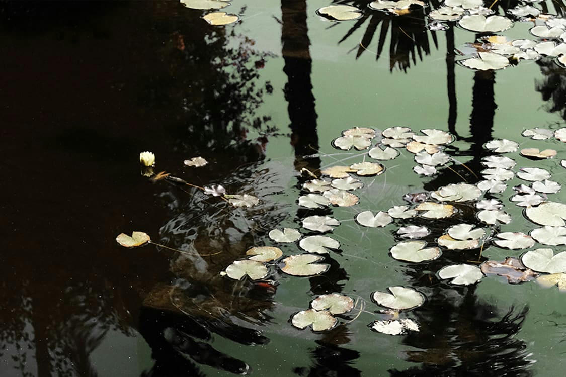 RÊVER - Photographie d'art de Zoé Pignolet 60x90 cm sur plexi