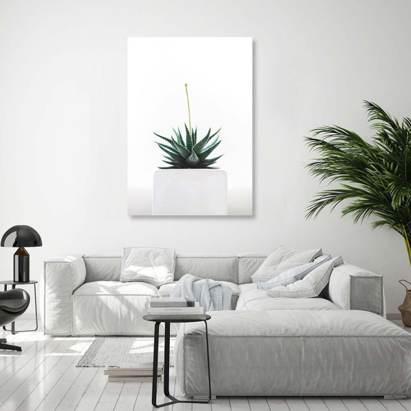 Feeby Obraz na płótnie Młoda roślina w doniczce 40x60