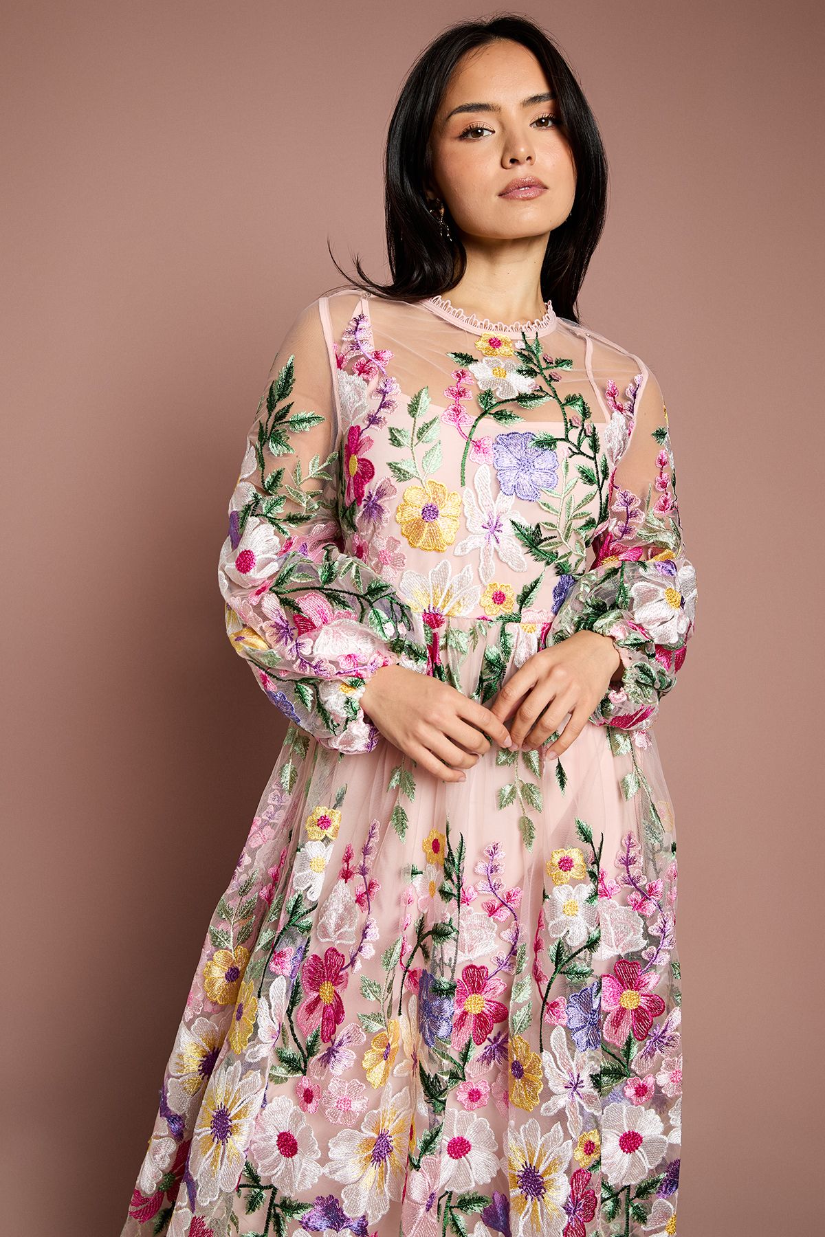Coast Petite Long Sleeve Embroidered Maxi Dress