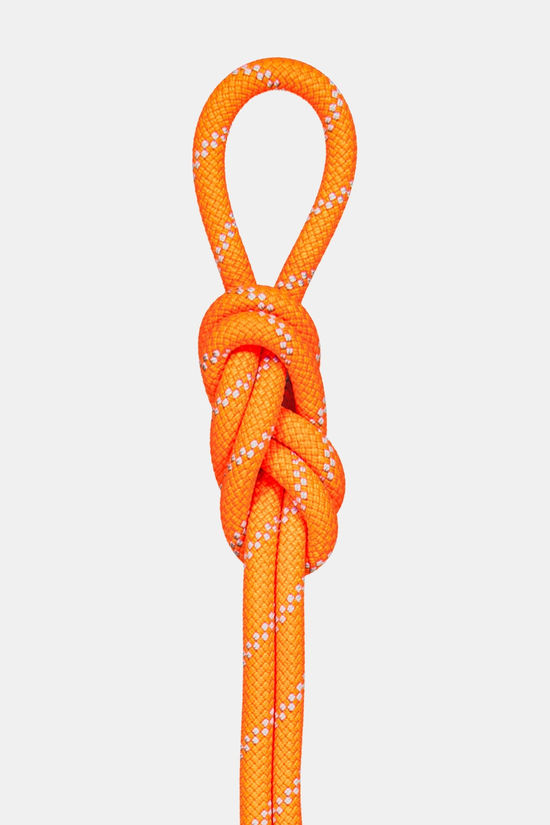 Mammut 9.5 Alpine Dry Rope 70M Touw
