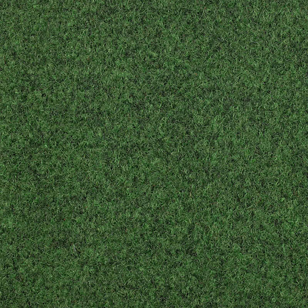 Moquette Extérieure Gazon Park Miraculeux, Vert 100 x 200 cm