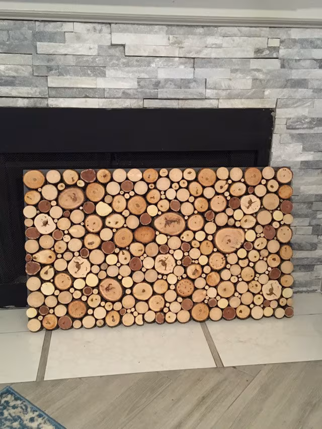 Fireplace Cover Screen Insert