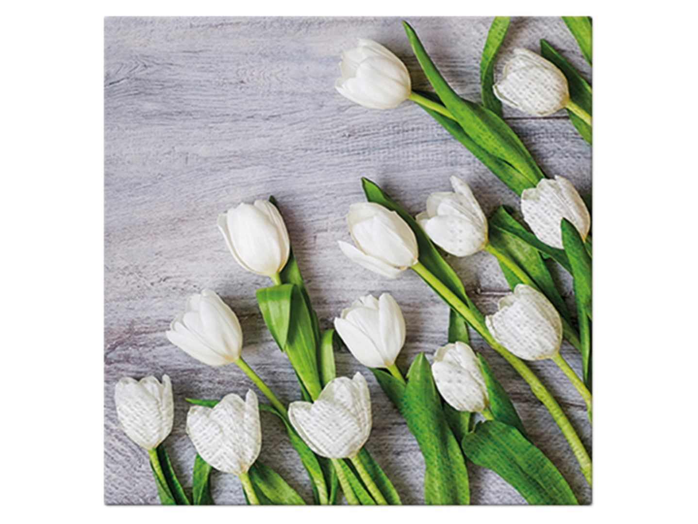 SerwetkiWhite Tulips 20 szt. 33x33 cm