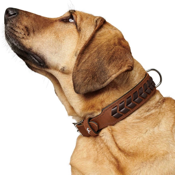 Halsband »El Paso«, Gr. L, cognacfarben/schwarz