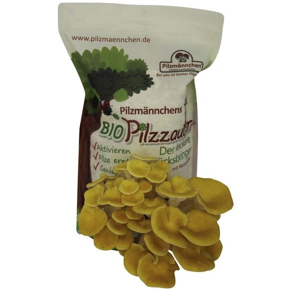 Pilzzuchttüte Bio Limonenpilz, 500 g