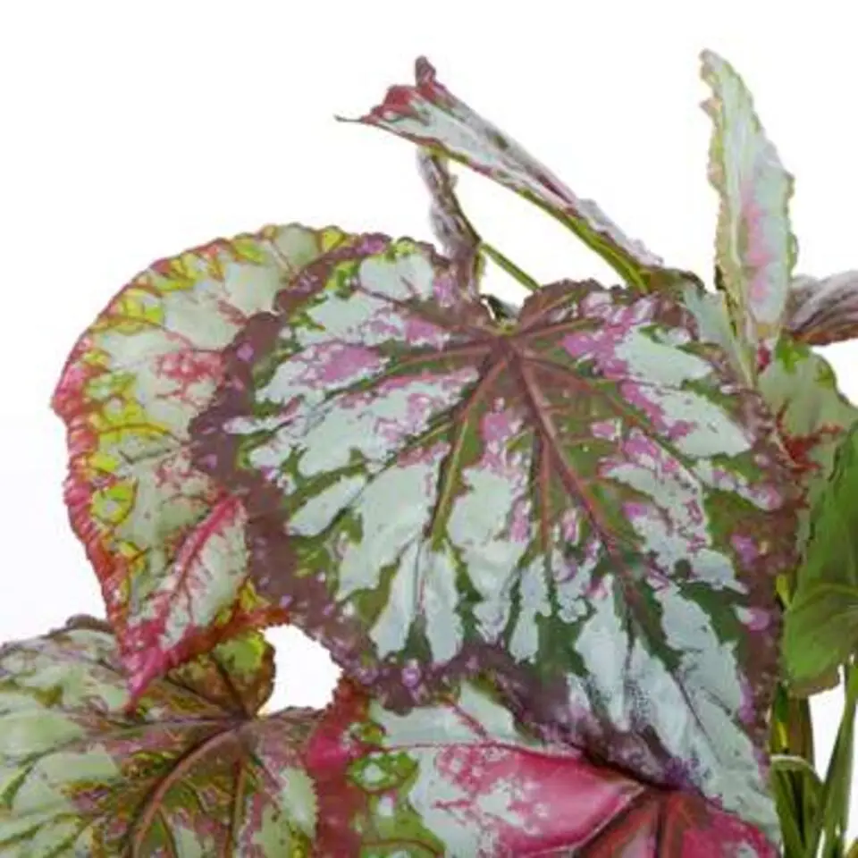 Mica Decorations Begonia Kunstplant Rood