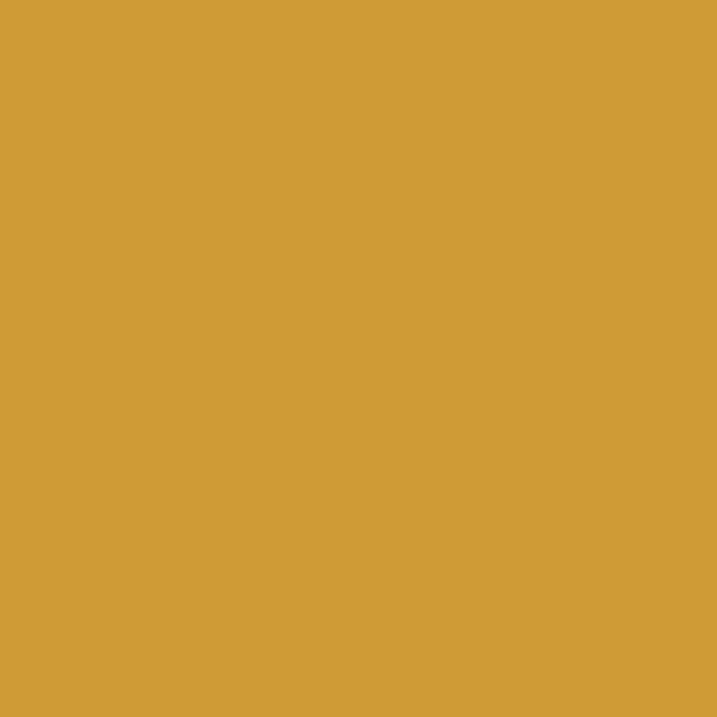 Laque Easy Colours miel satiné 0,125 L V33