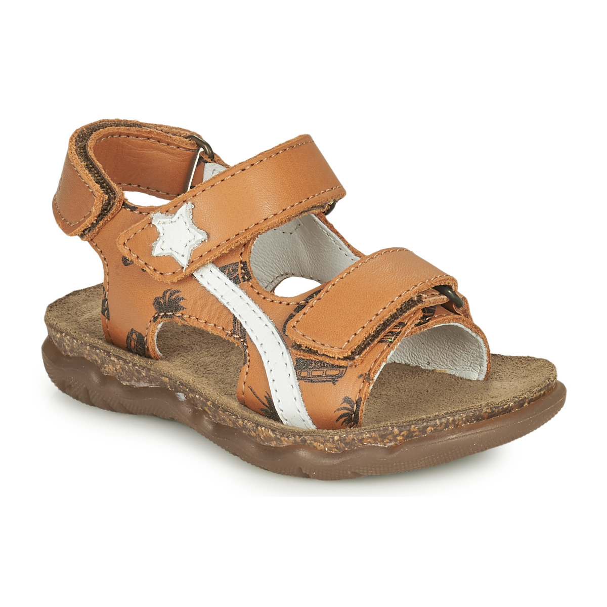 GBB - IGORI - Brown