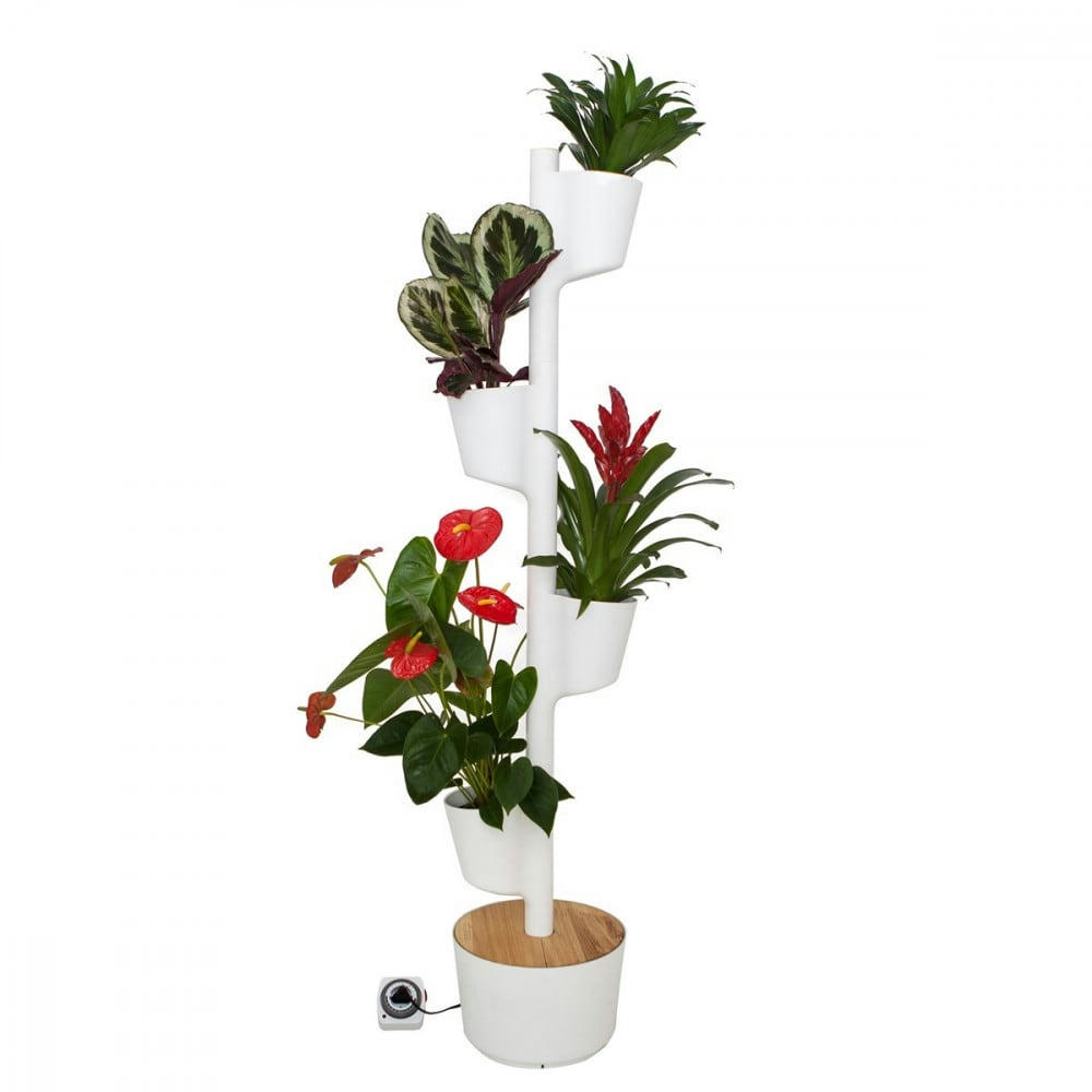 - Jardin d'intérieur avec 4 plantes décoratives et arrosage auto blanc