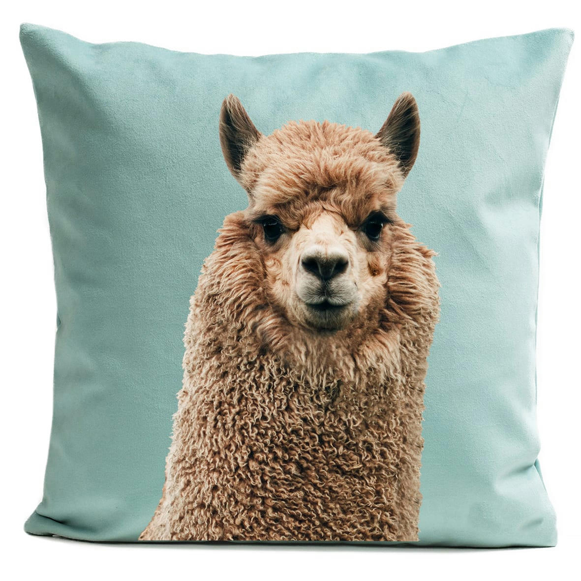 - Coussin animal alpaga suédine bleu 40x40cm