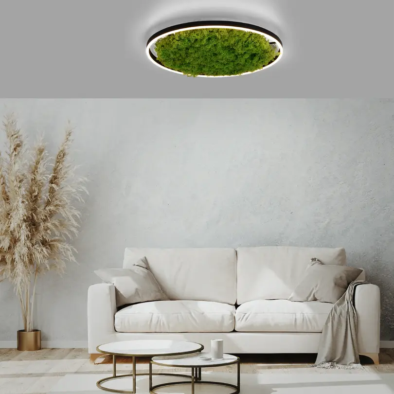 5in1 Solarleuchte Green Ritus