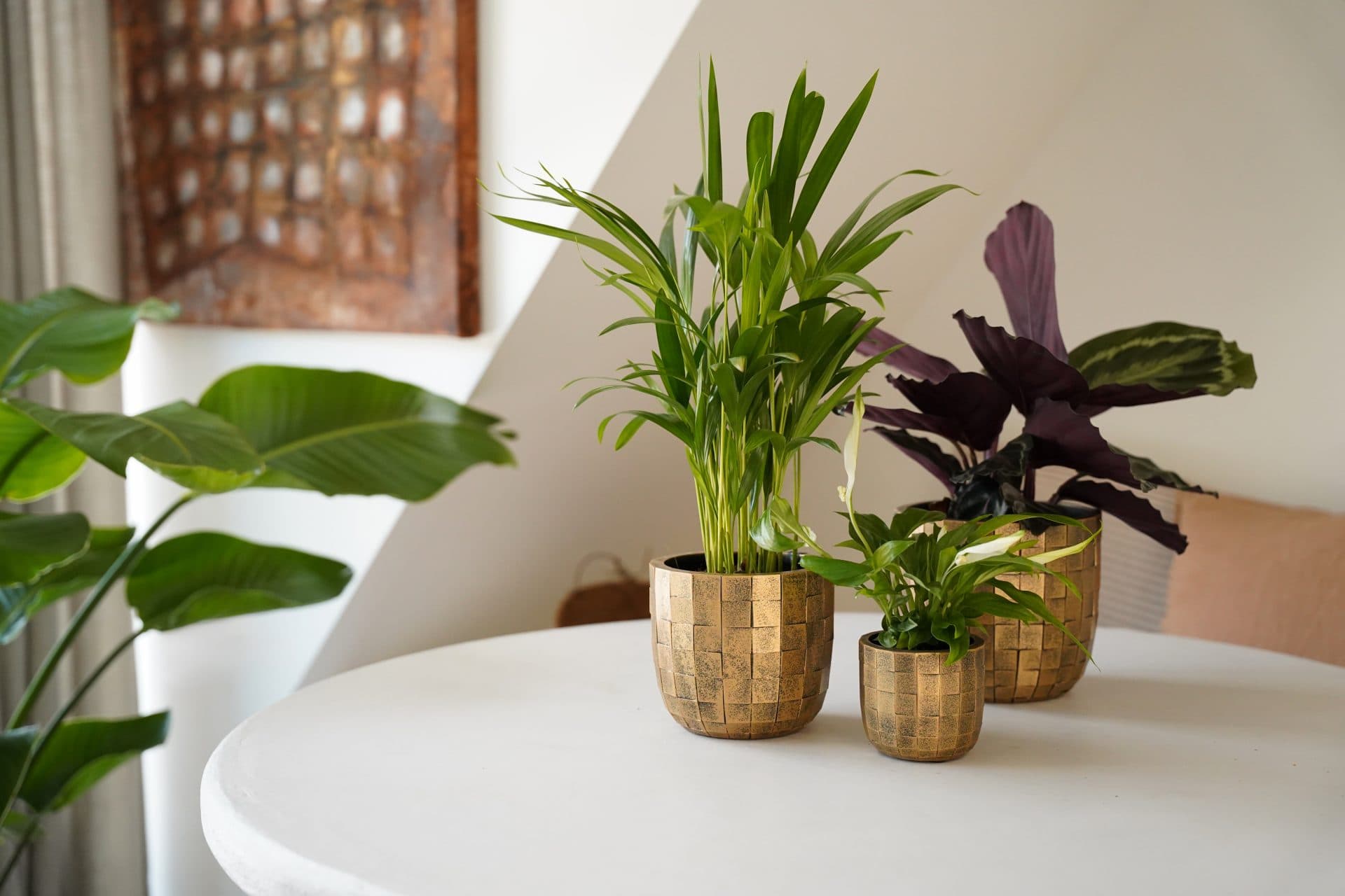 Capi Europe - Pot bol Blocks - 24x21 - Goud