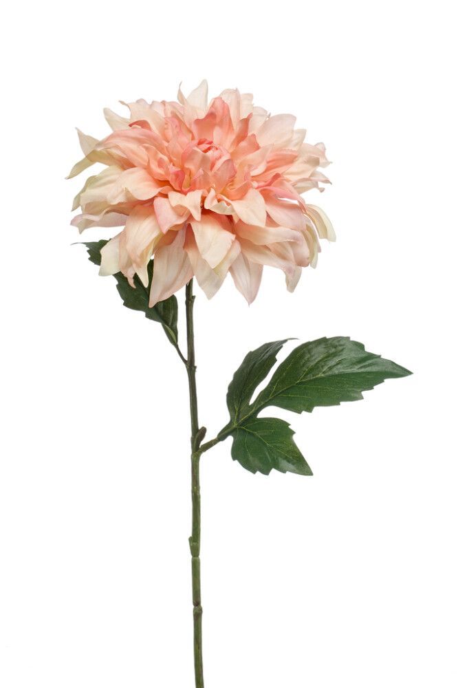 KUNSTPLANTE EMARALD DAHLIA SPRAY SNITT PERSIKA 60CM
