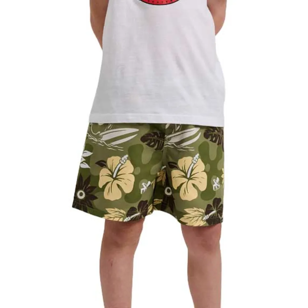 Santa Cruz Winkowski trip swimming shorts