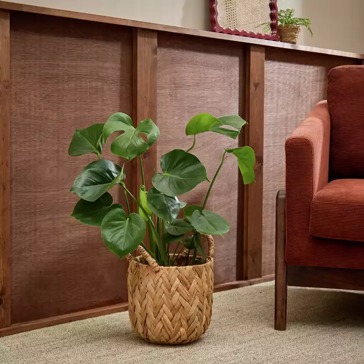 Habitat Small Woven Herringbone Basket - Natural