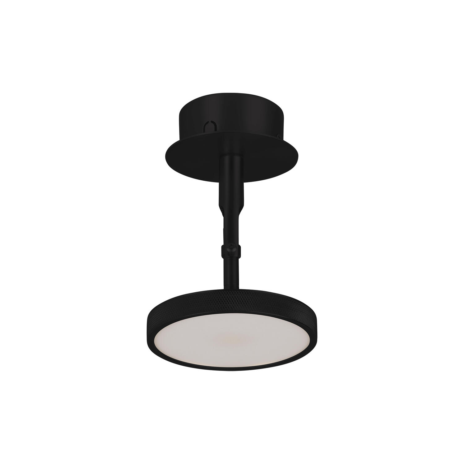 Asteria Spot Wall Lamp, black
