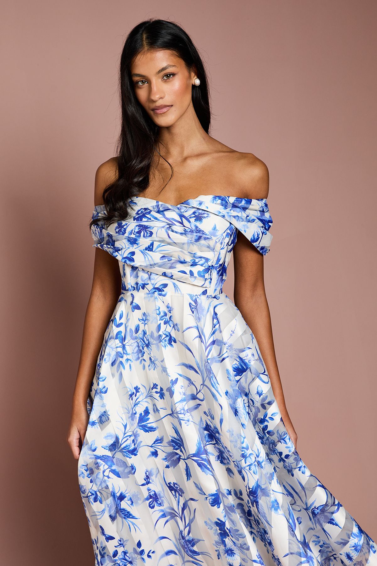 Coast Petite Stripe Organza Pleated Top Midi Dress