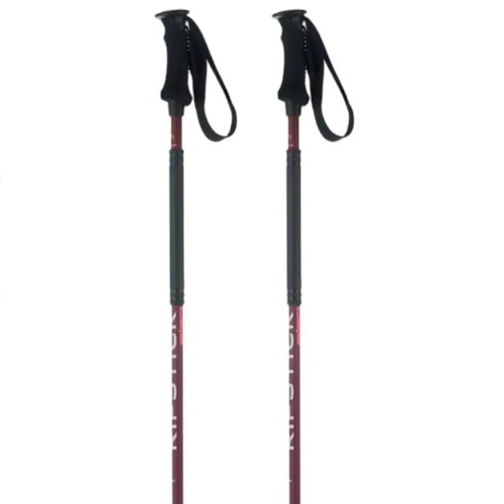 Elan Ripstick Rod W poles