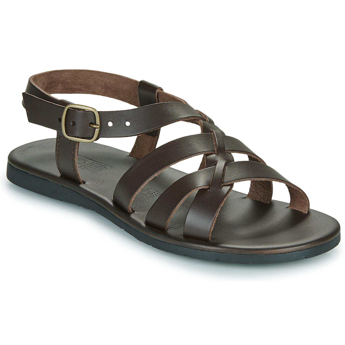 Dream in Green - QUESELLI - Brown
