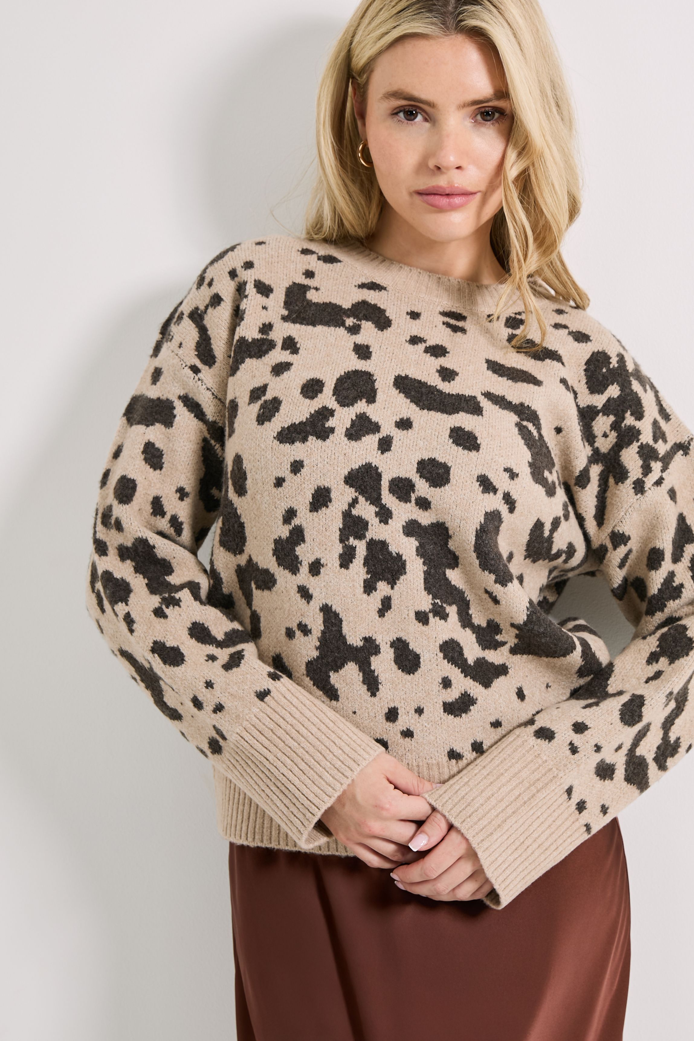 Dorothy Perkins Animal Jacquard Crew Jumper