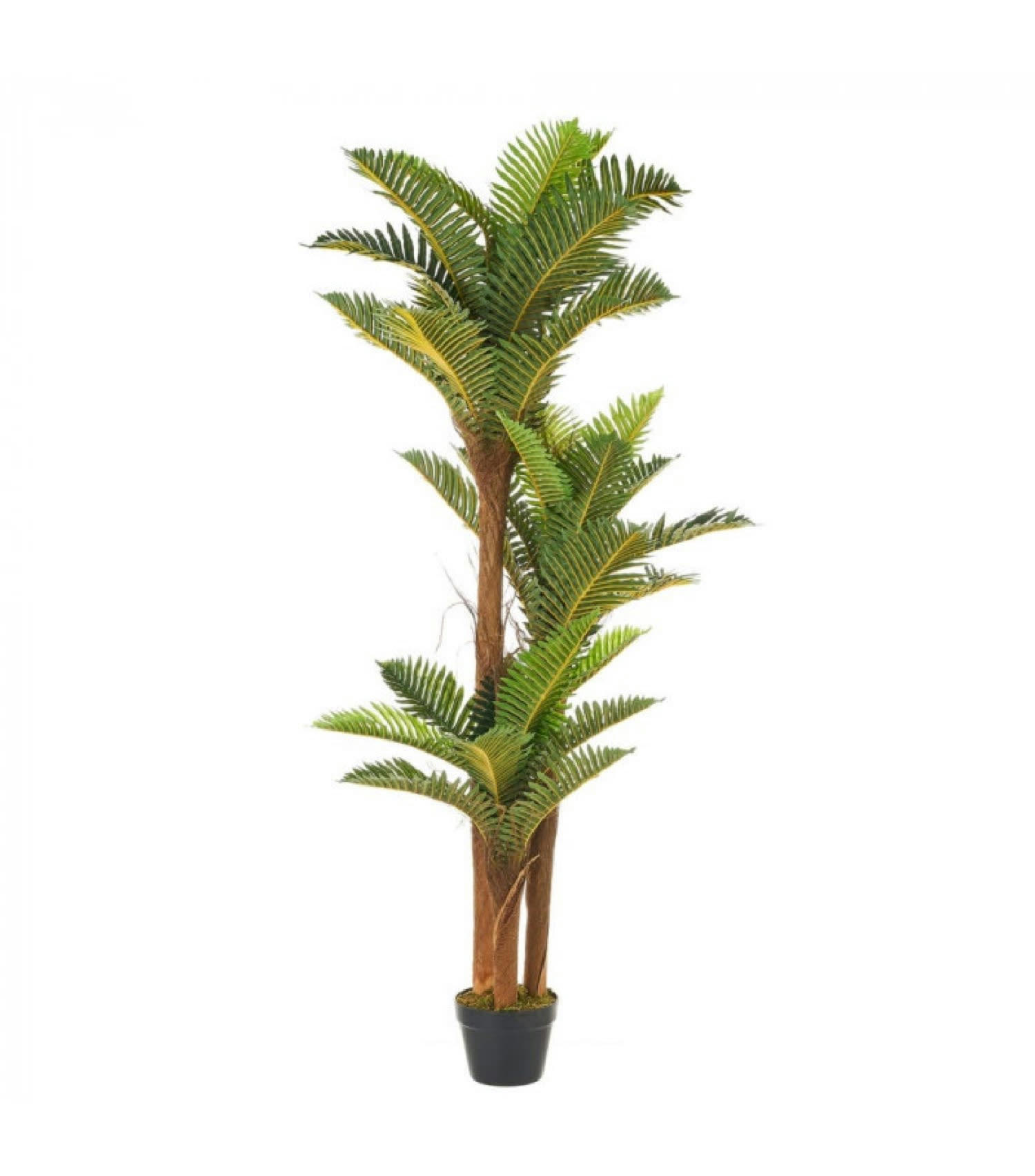 PALMIER - Plante artificielle d'intérieur palmiers H150cm