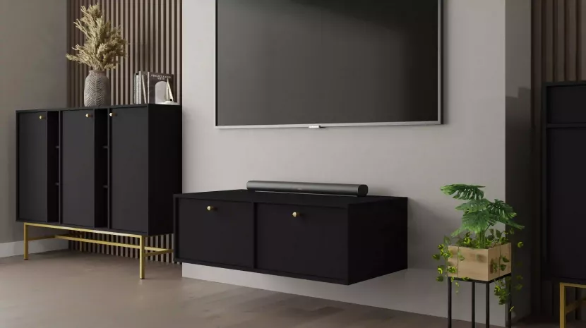 Szafka RTV wisząca do salonu Sakai 4 2K T302 Czarny