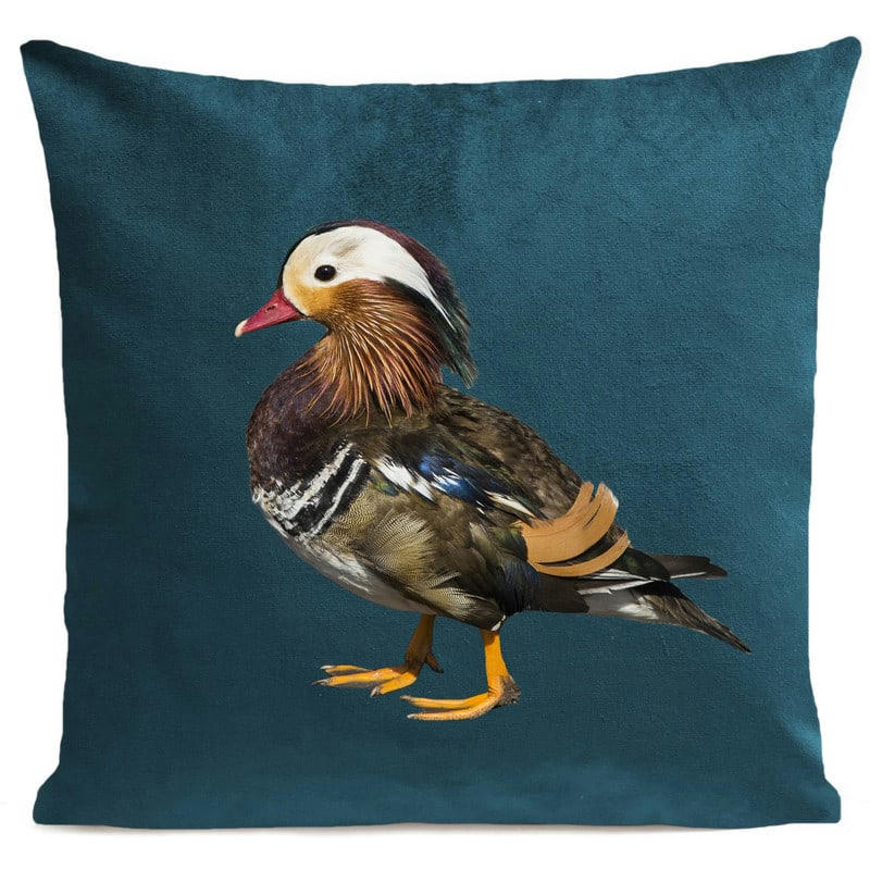 - Coussin campagne canard velours bleu canard 40x40cm
