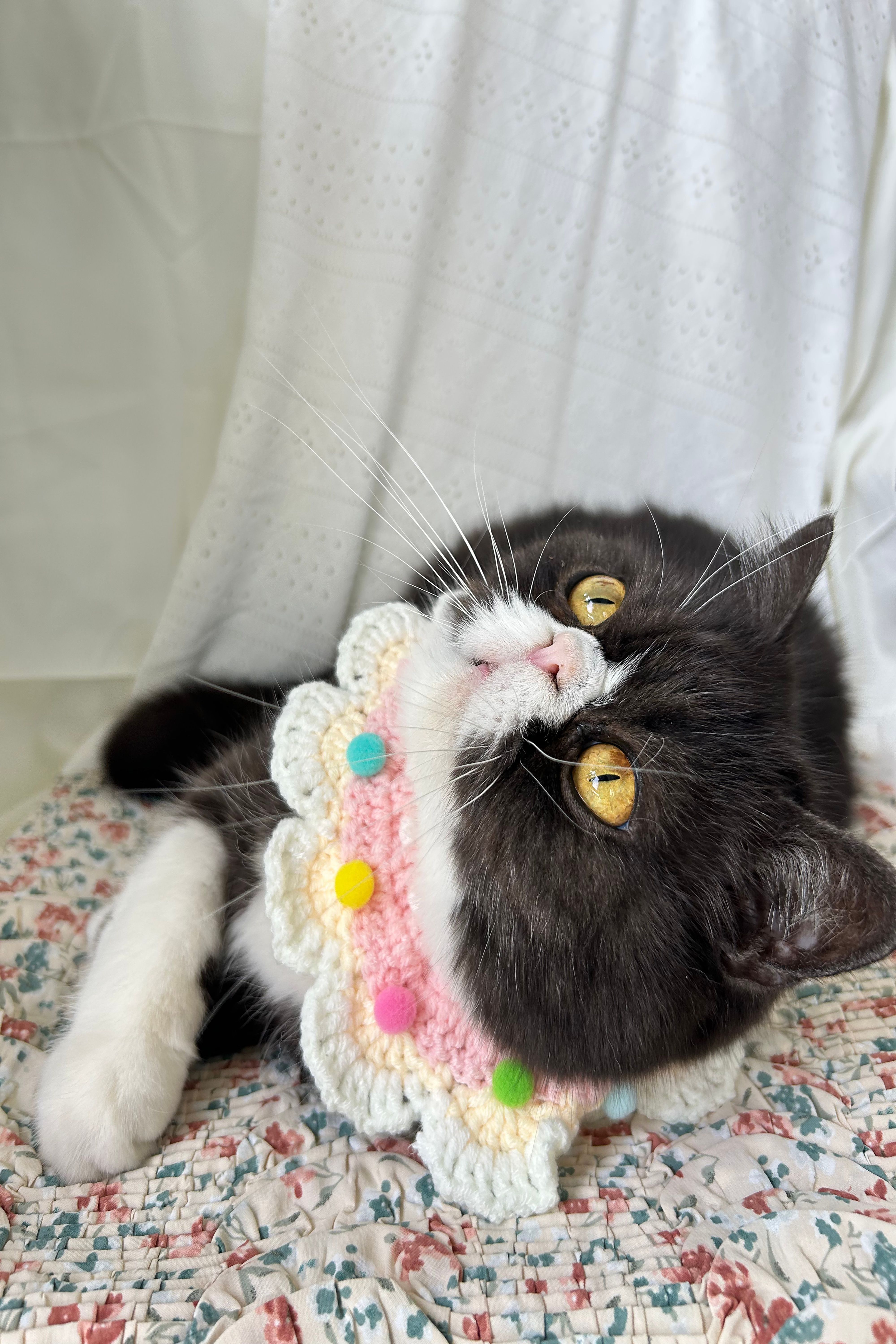 Vellin Pink cream crochet pet collar with pom poms, adjustable fit