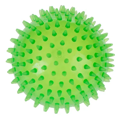 Large Spiky Ball Dog Toy