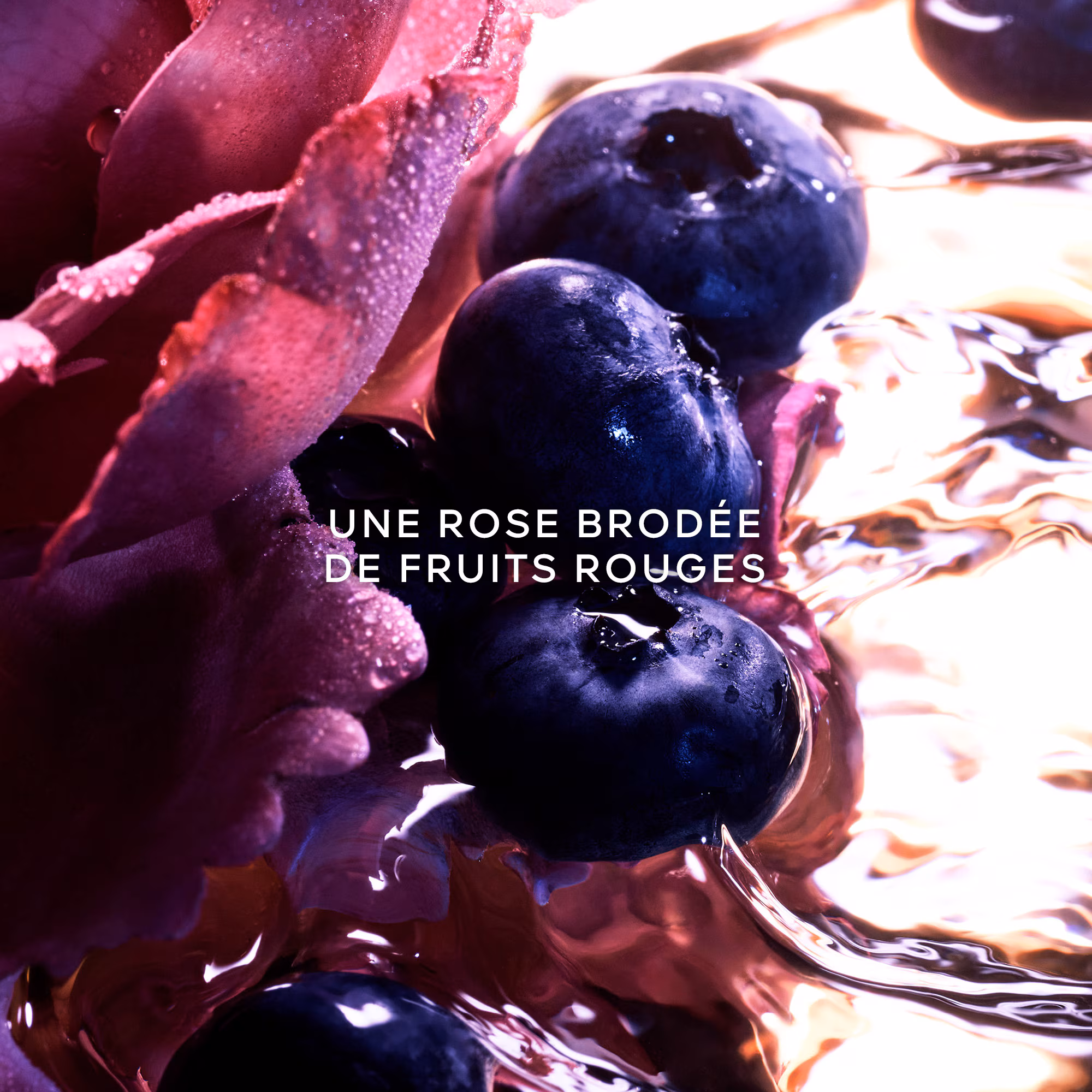 LA PETITE ROBE NOIREEau de parfum intense