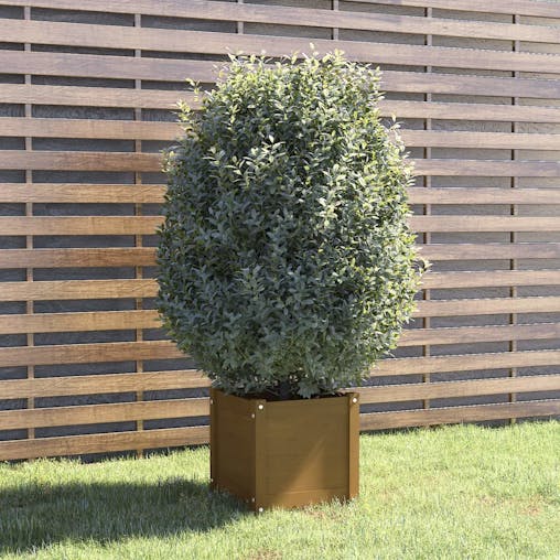 NNEVL Garden Planter Honey Brown 40x40x40 cm Solid Pinewood