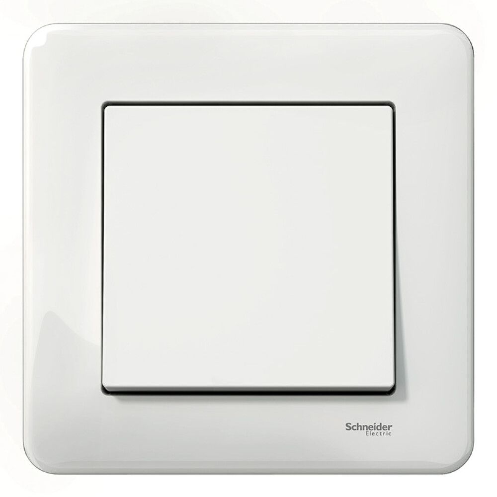 STRØMBRYTER SCHNEIDER ELECTRIC WDE008205 EXXACT TRAPP/1P