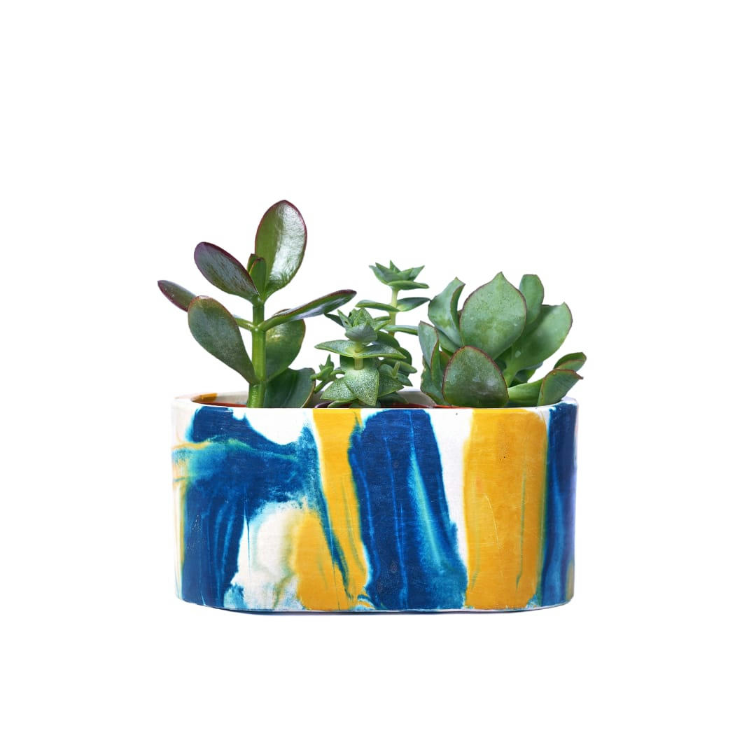 MINI JARDI TIE&DYE - Mini jardinière tie&dye béton bleu pétrole et jaune