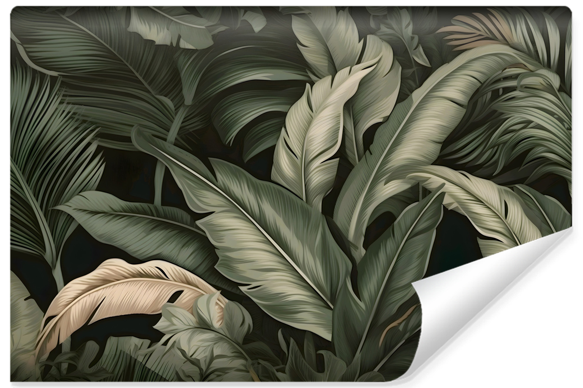 Fototapeta Tropikalne LIŚCIE Bananowca 3D 90x60cm
