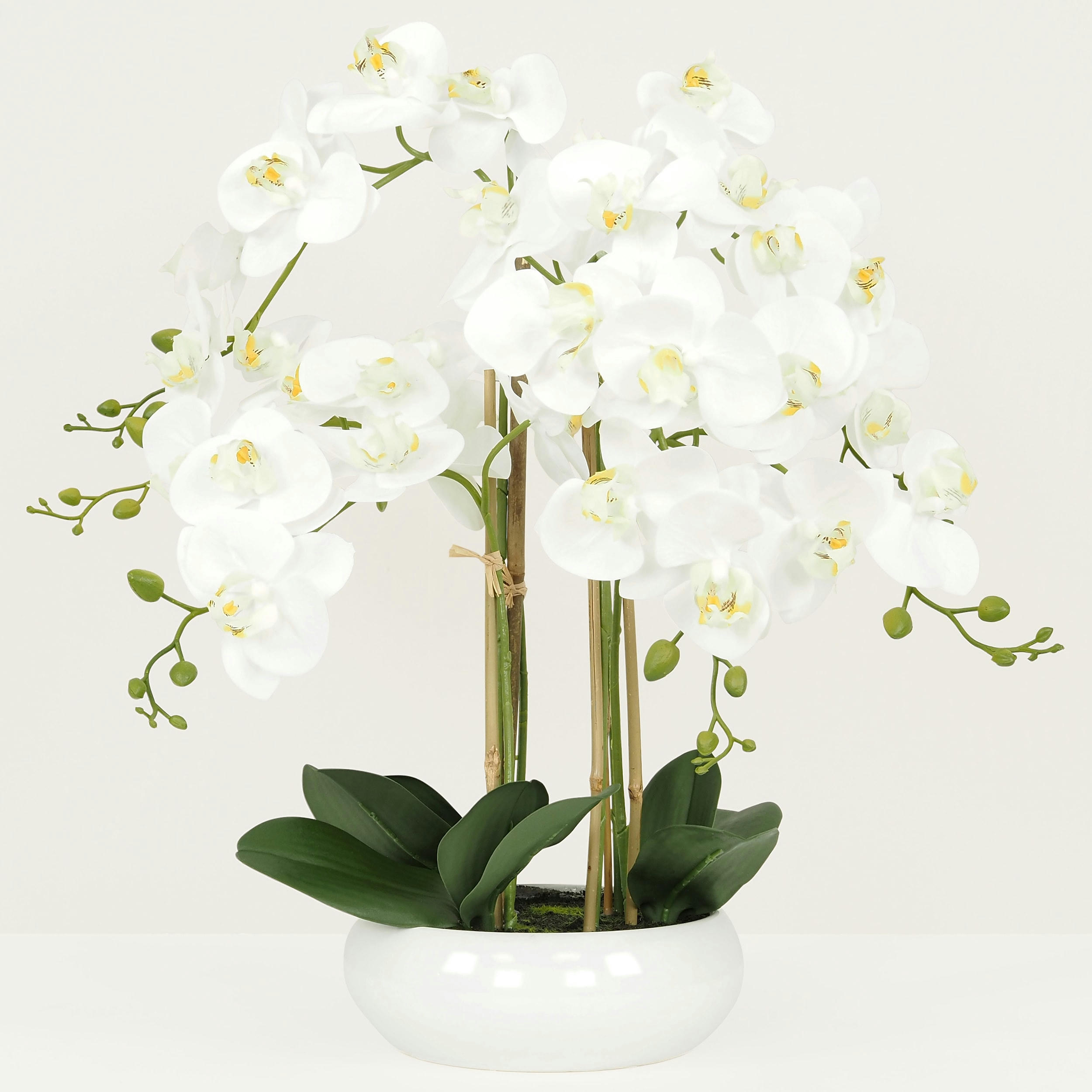 - Orchidées artificielles blanche 55cm