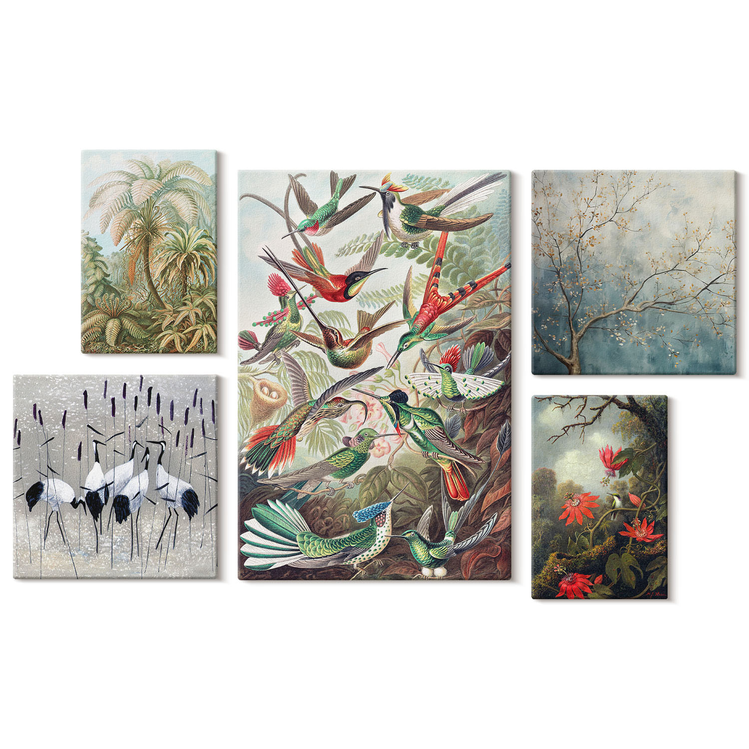 Obraz canvas 5 części Tropikalne ptaki|20x30, 30x30, 40x60|Wallfluent
