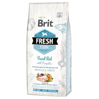 Brit Fresh Fish with Squash Adult Large