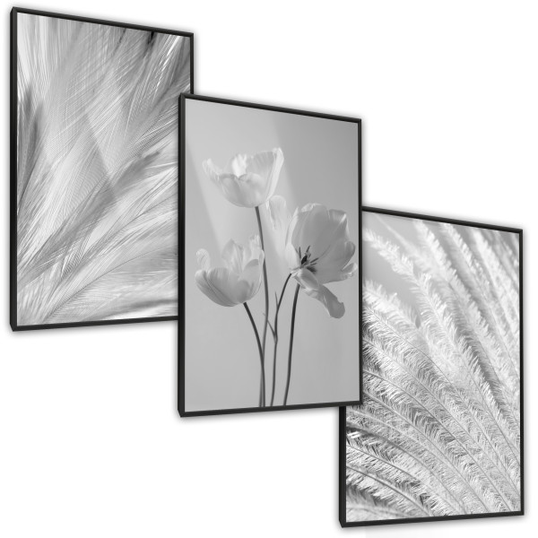 ZESTAW 3X Plakat Czarno-białe Rośliny 90x40cm