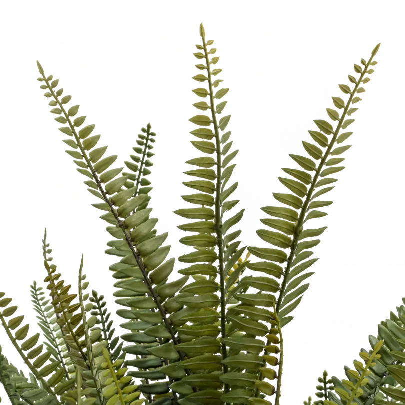 Kunstpflanze Giardino