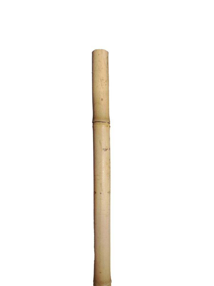 PLANTEPINNE BAMBUS 180 CM, 5-PAKNING