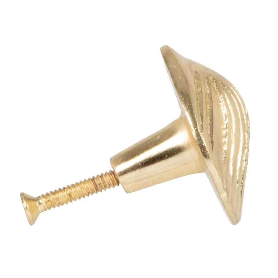 COQUILLAGE - Bouton de porte coquillage en acier doré