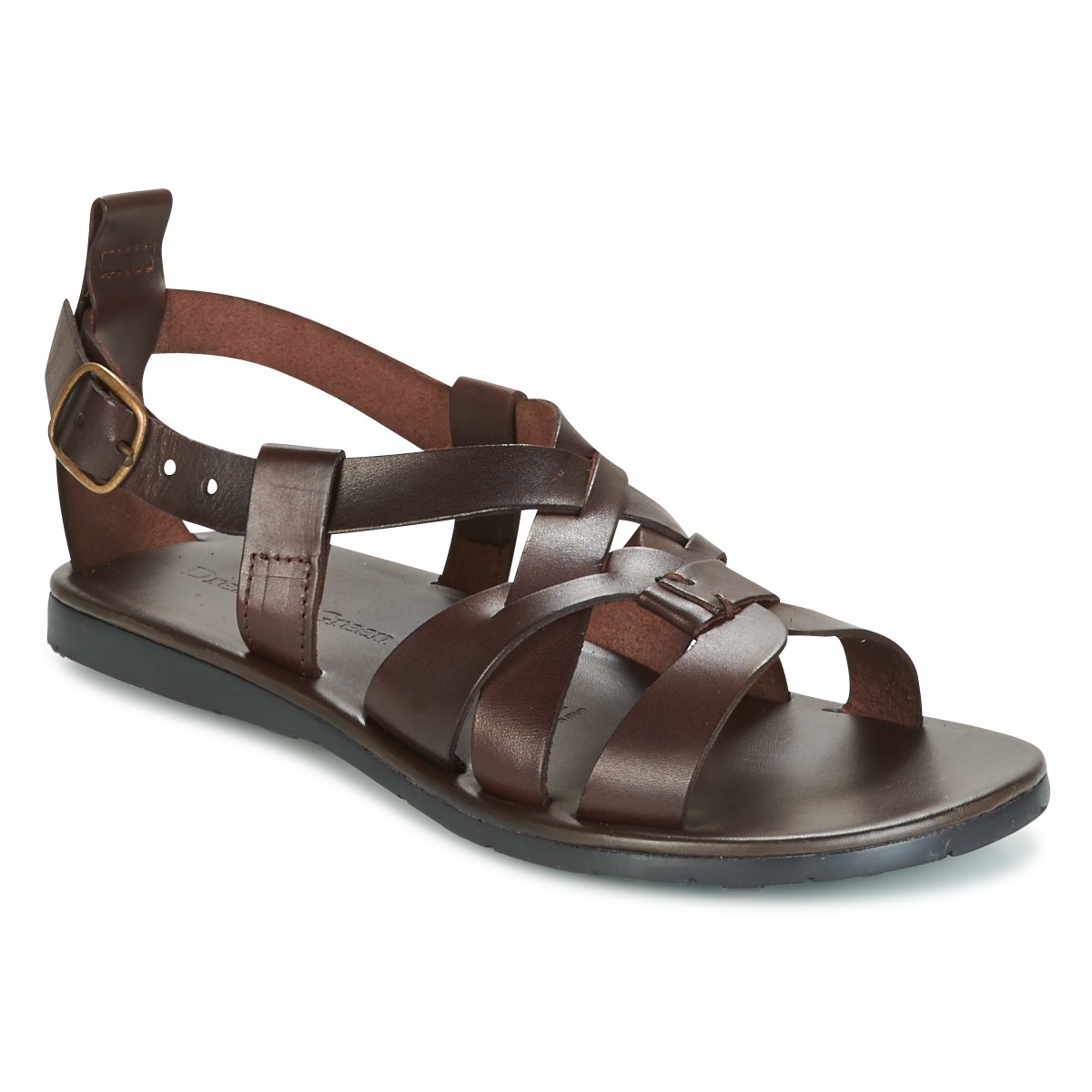 Dream in Green - QUESELLE - Brown