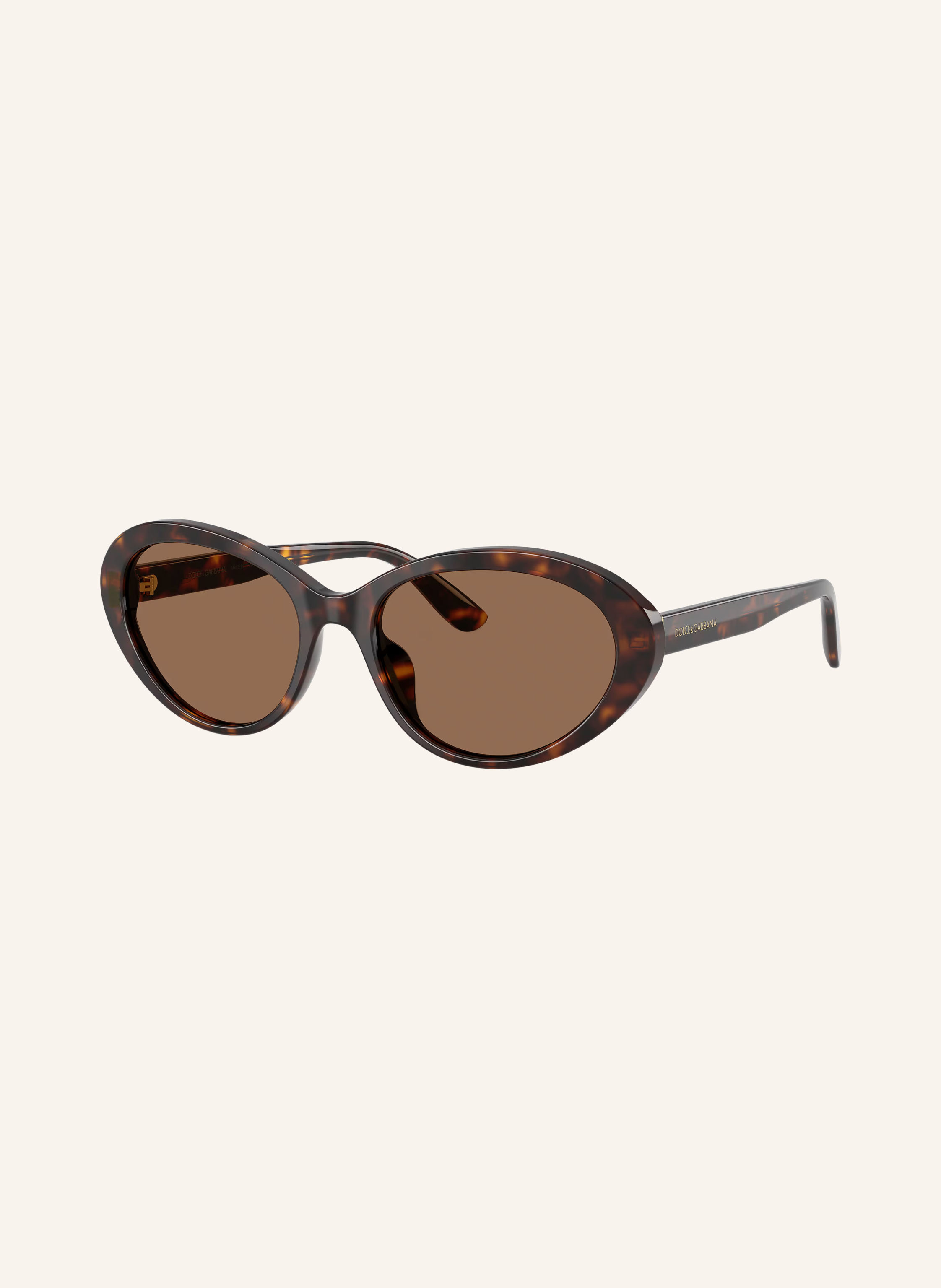 DOLCE & GABBANA Sonnenbrille DG4570